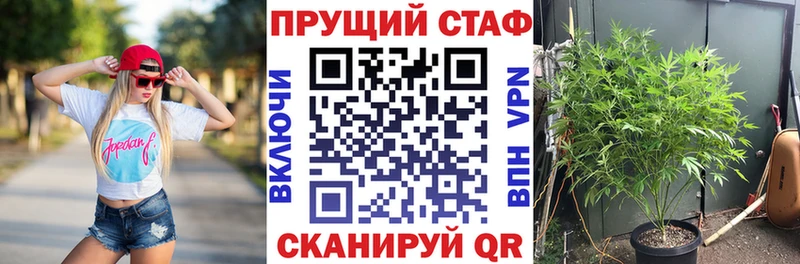 Купить наркотик Кингисепп Галлюциногенные грибы APVP МАРИХУАНА ГАШИШ Cocaine