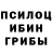 Псилоцибиновые грибы прущие грибы mddn 3