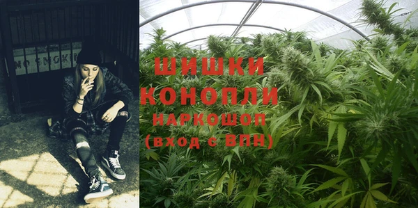 скорость Бородино