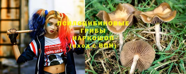 jwh Снежногорск